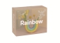 Preview: Rainbow Vase