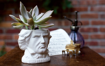 Mini Blumentopf Ludwig van Beethoven