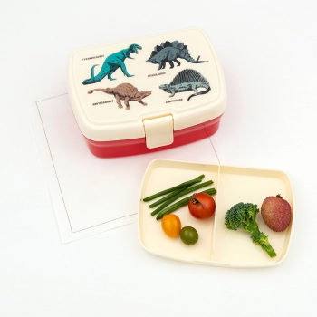 Lunchbox Prehistoric Land