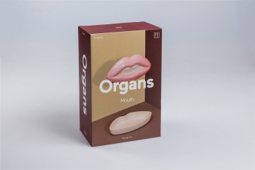 Organs Schale Mund