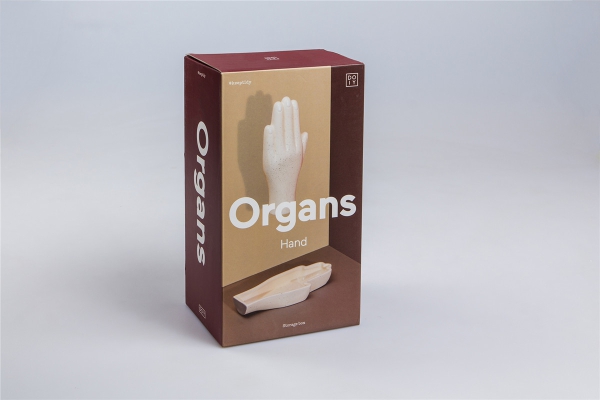 Organs Schale Hand