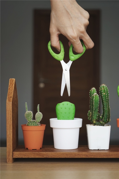 Schere im Topf Cactus Scissors Weiß-Grün