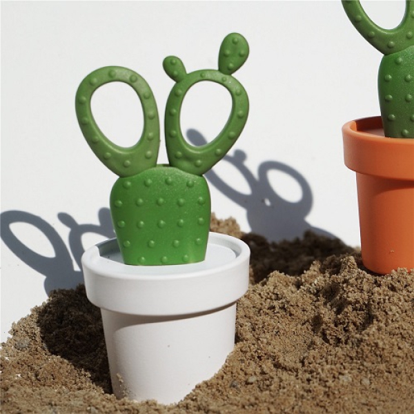 Schere im Topf Cactus Scissors Weiß-Grün